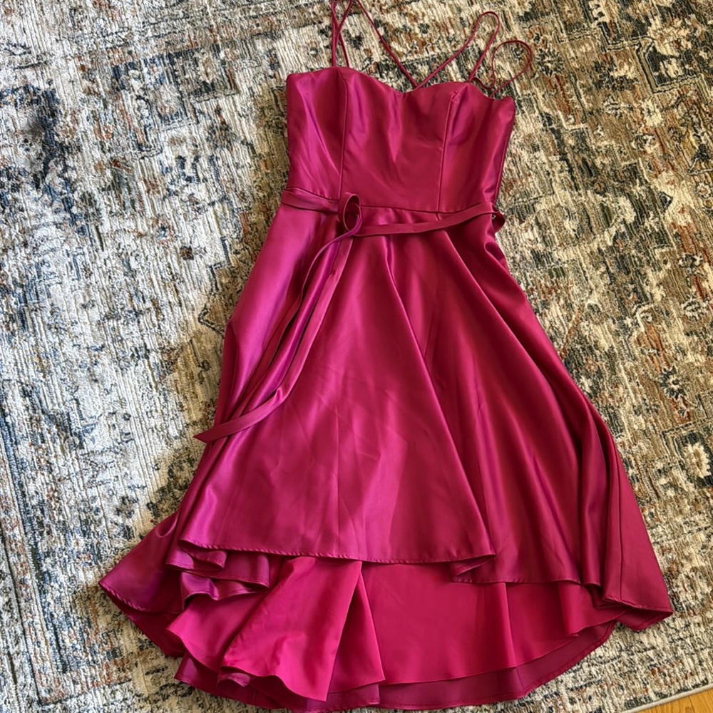 Elegant Berry Women's Dress